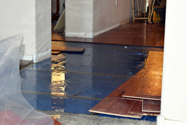 Professional Burst Pipe Cleanup technician working in Hamilton, GA