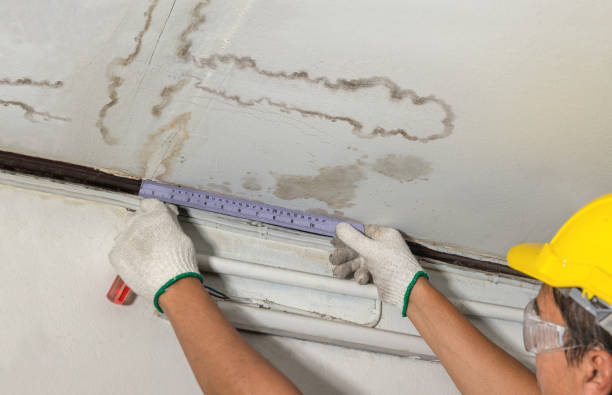 Reliable Burst Pipe Cleanup contractor in Hamilton, GA by Water Damage Irwin